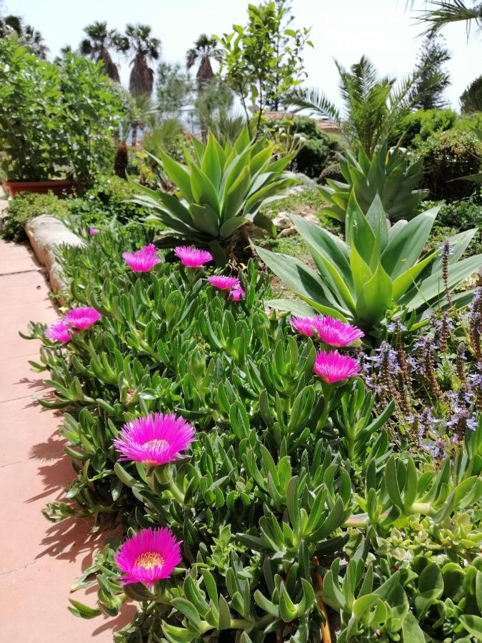 Appartamentino In Villa A 2 Passi Dal Mare Fontane Bianche Ngoại thất bức ảnh